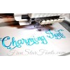 Charming Embroidery Font Swoosh