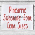 Pineapple Sunshine Embroidery Font